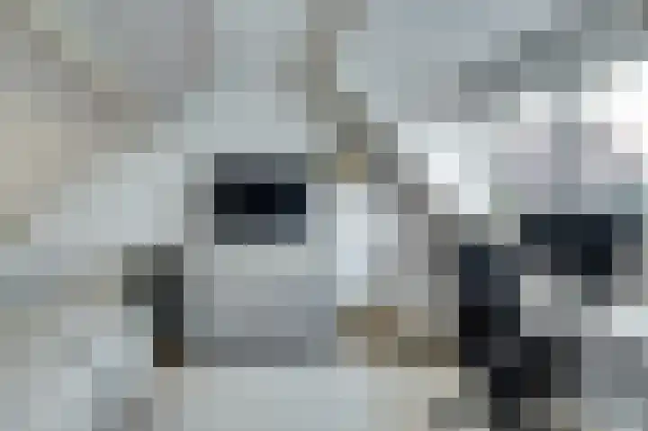 De Roop 11 Hoogkarspel thumbnail 27