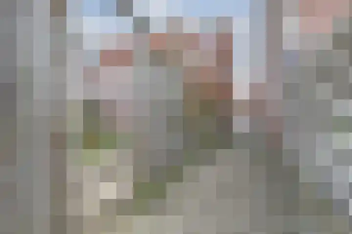 De Roop 11 Hoogkarspel thumbnail 32