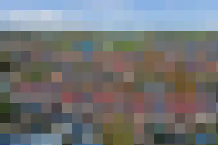 De Roop 11 Hoogkarspel thumbnail 36