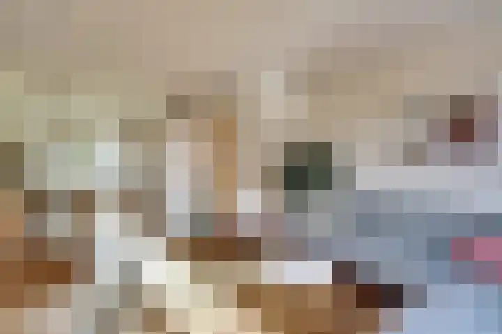 De Roop 11 Hoogkarspel thumbnail 7