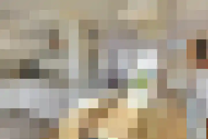 De Roop 11 Hoogkarspel thumbnail 9