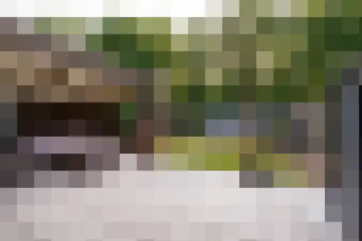 de Roos 21 Hoogerheide thumbnail 24