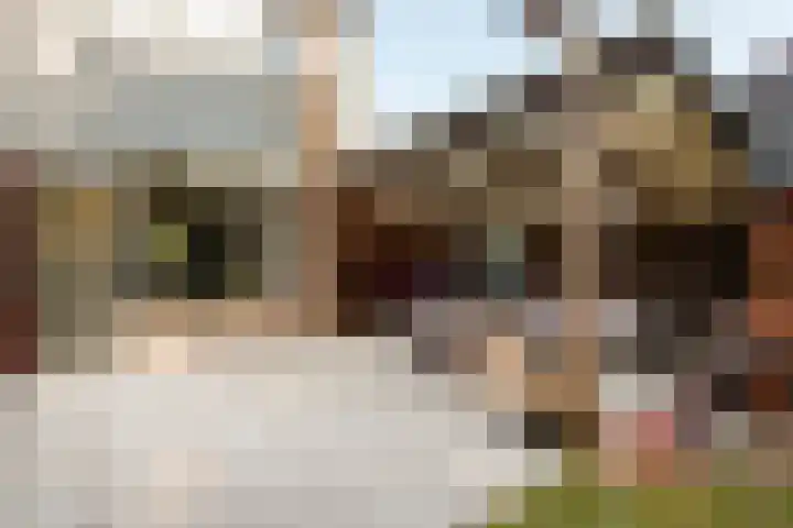 de Roos 21 Hoogerheide thumbnail 25