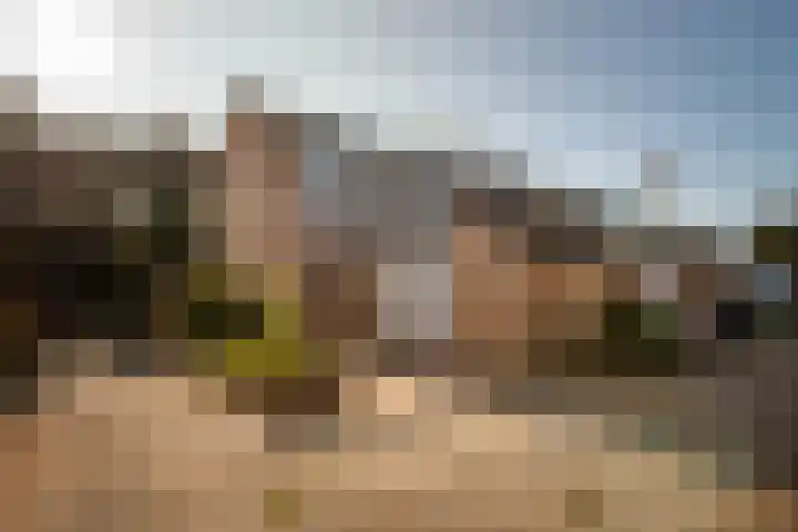 de Roos 21 Hoogerheide thumbnail 27