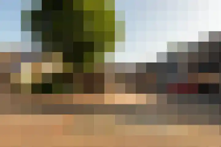 de Roos 21 Hoogerheide thumbnail 28