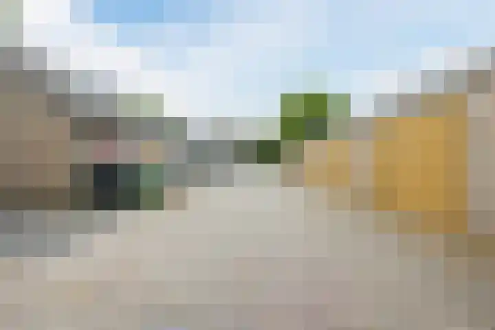 de Roos 22 Hoogerheide thumbnail 44