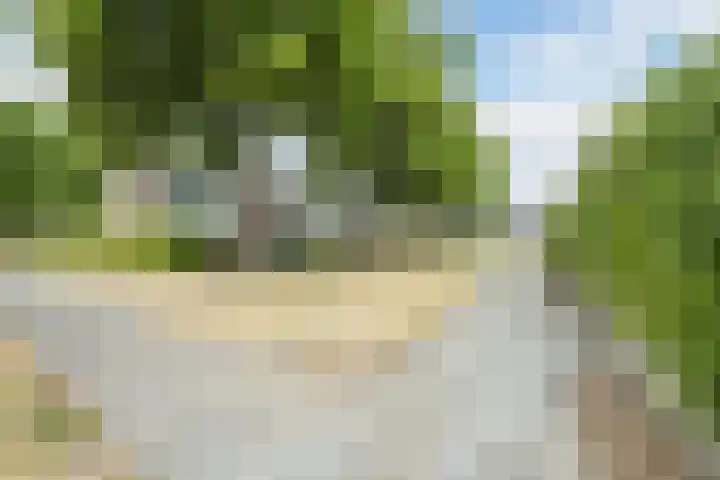 de Roos 22 Hoogerheide thumbnail 46