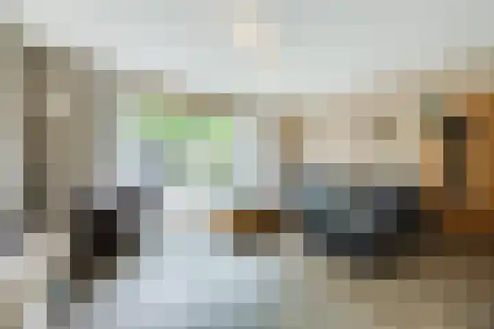 de Roos 22 Hoogerheide thumbnail 8
