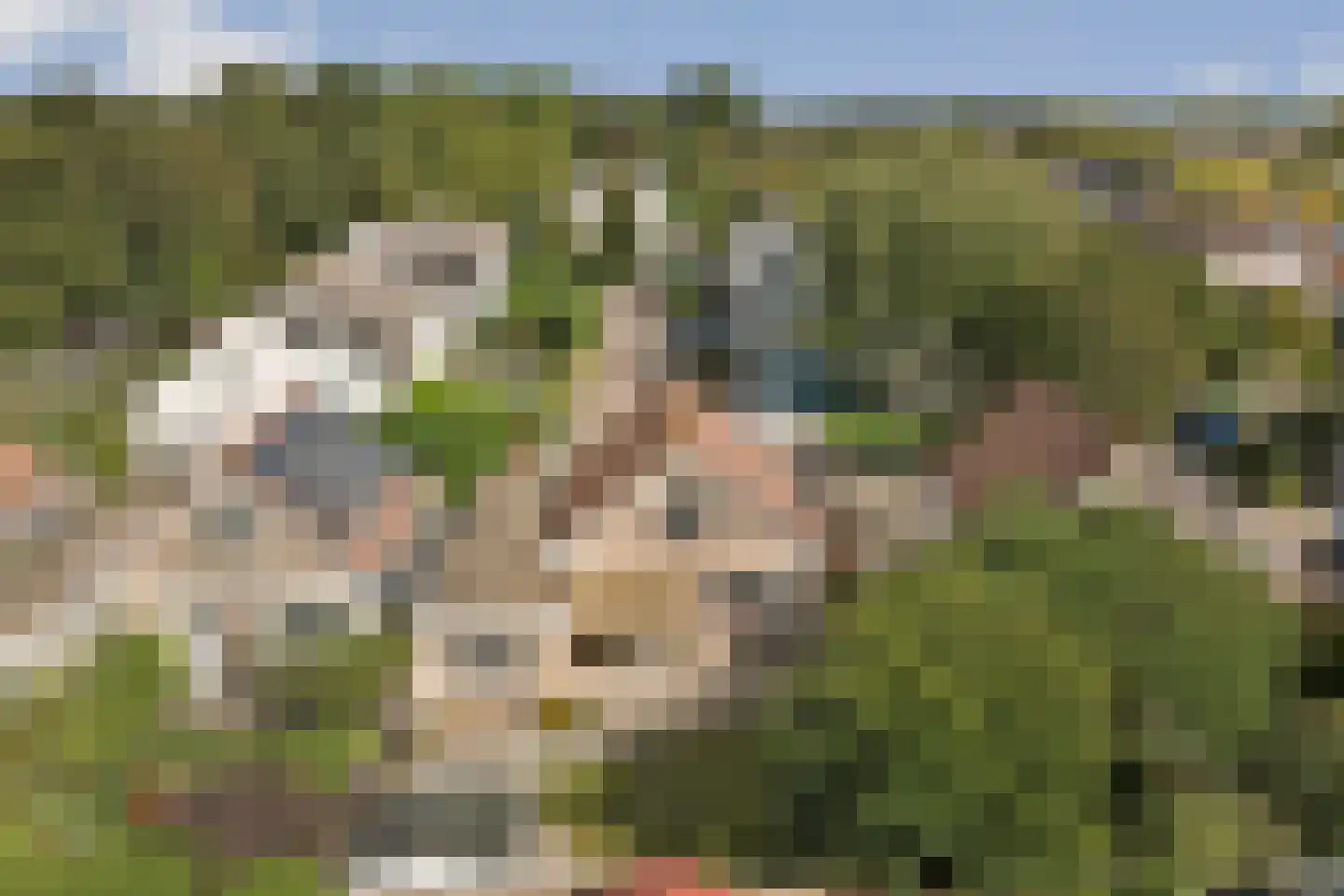De Roos 24 Bovenkarspel thumbnail 31