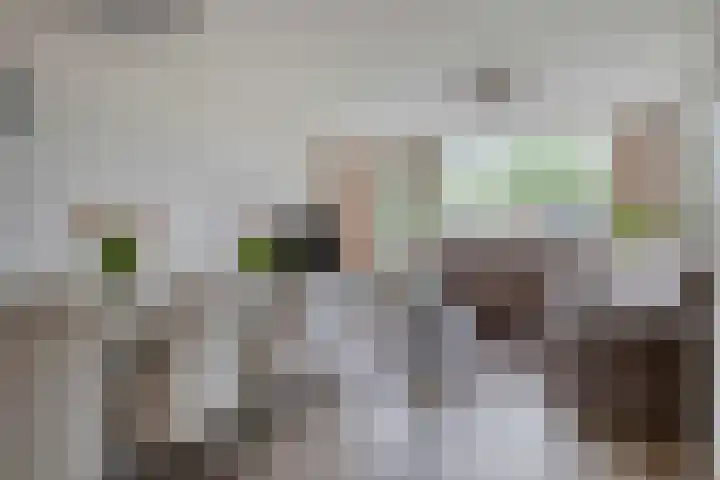 de Roos 24 Brouwershaven thumbnail 4