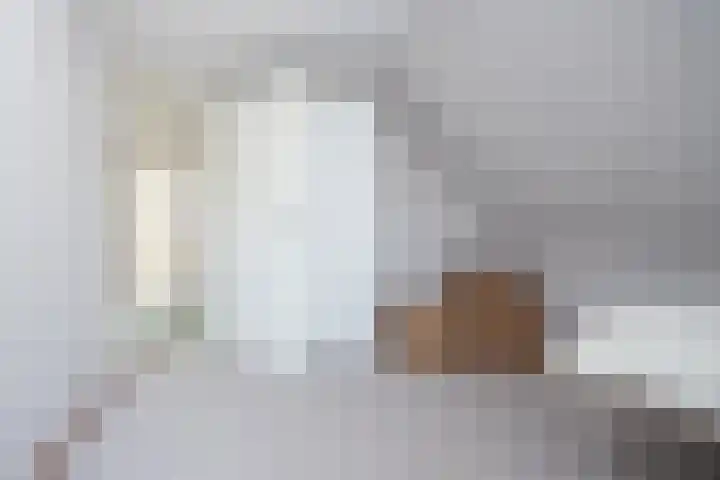 De Roos 45 Bovenkarspel thumbnail 20