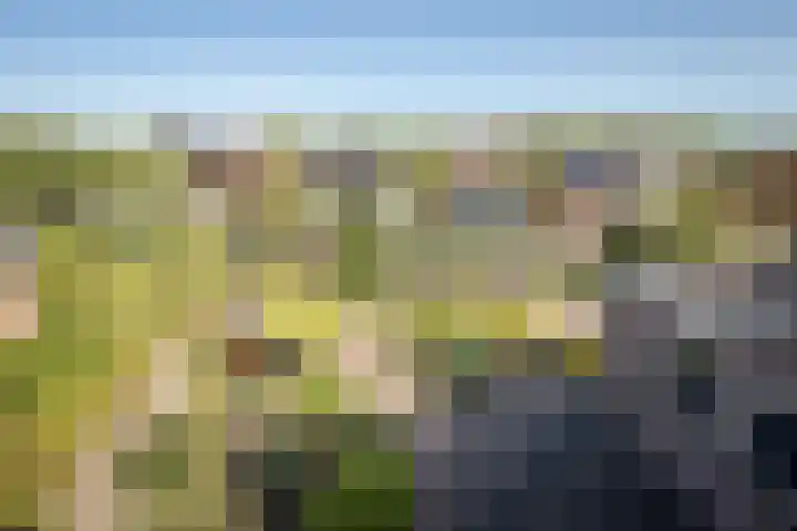 De Roos 45 Bovenkarspel thumbnail 28