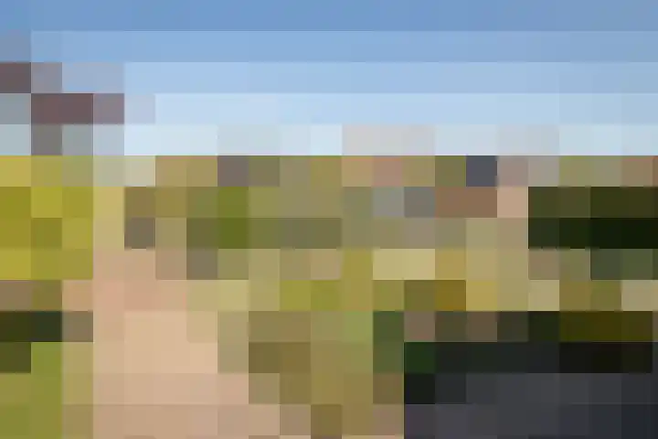 De Roos 45 Bovenkarspel thumbnail 30