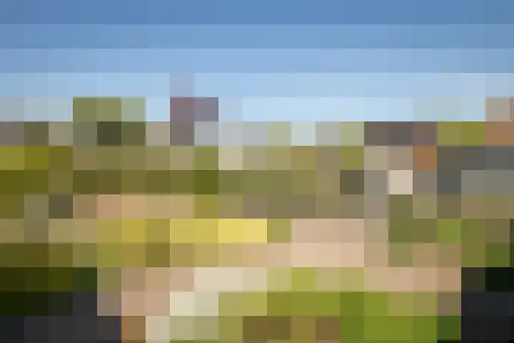 De Roos 45 Bovenkarspel thumbnail 31