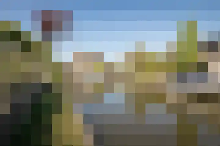 De Roos 45 Bovenkarspel thumbnail 32