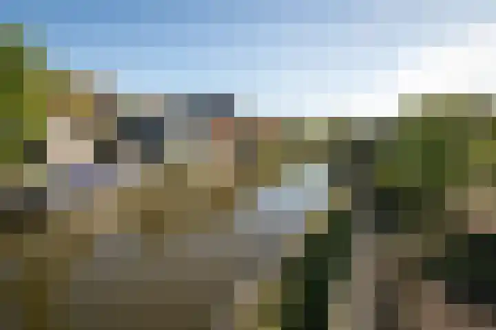 De Roos 45 Bovenkarspel thumbnail 33