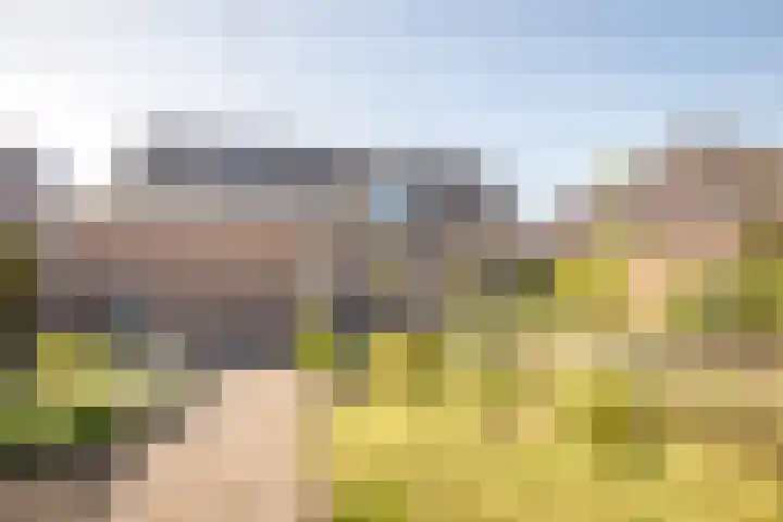 De Roos 45 Bovenkarspel thumbnail 34