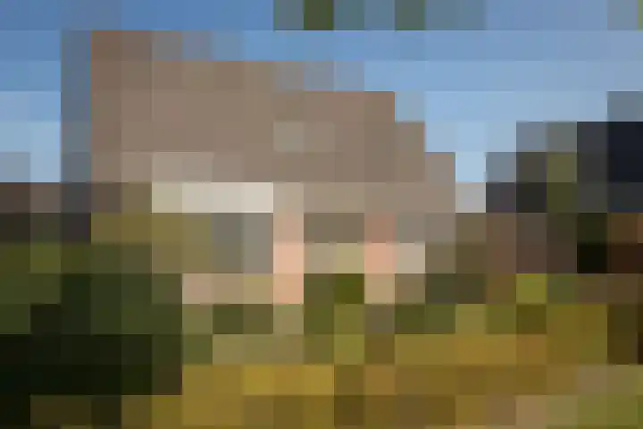 De Roos 45 Bovenkarspel thumbnail 36