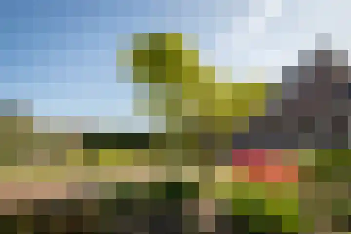 De Roos 45 Bovenkarspel thumbnail 37