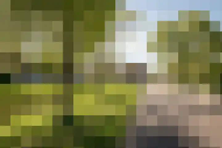 De Roos 45 Bovenkarspel thumbnail 38