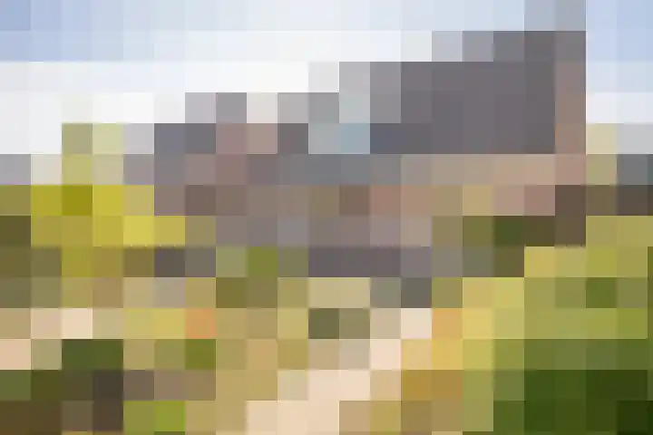 De Roos 45 Bovenkarspel thumbnail 4