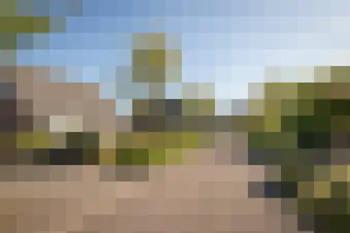 De Roos 45 Bovenkarspel thumbnail 40