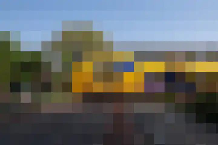 De Roos 45 Bovenkarspel thumbnail 45
