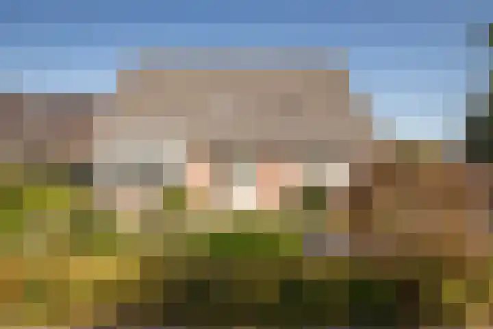 De Roos 45 Bovenkarspel thumbnail 5