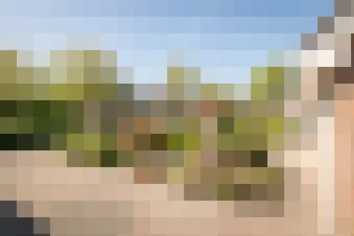 De Roos 45 Bovenkarspel thumbnail 6
