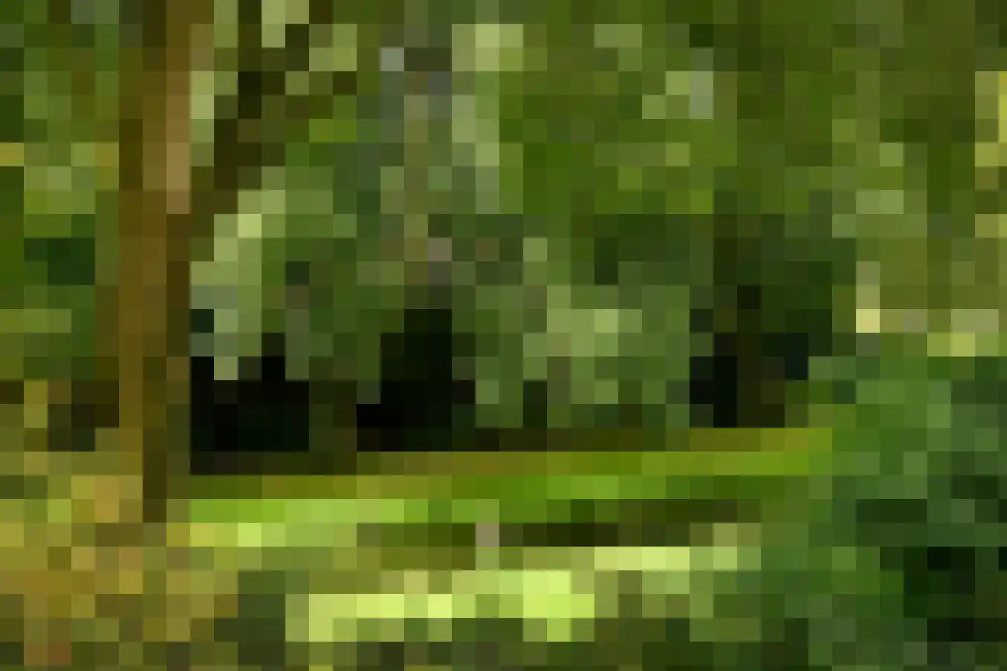 De Roos van Dekama 1 Amstelveen thumbnail 27