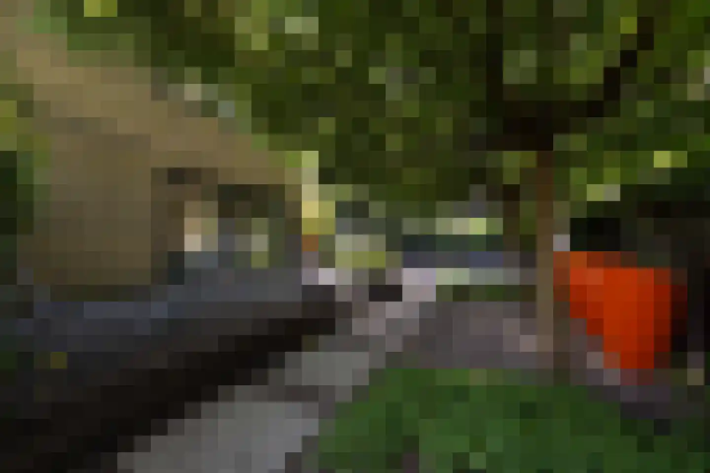 De Roos van Dekama 1 Amstelveen thumbnail 29
