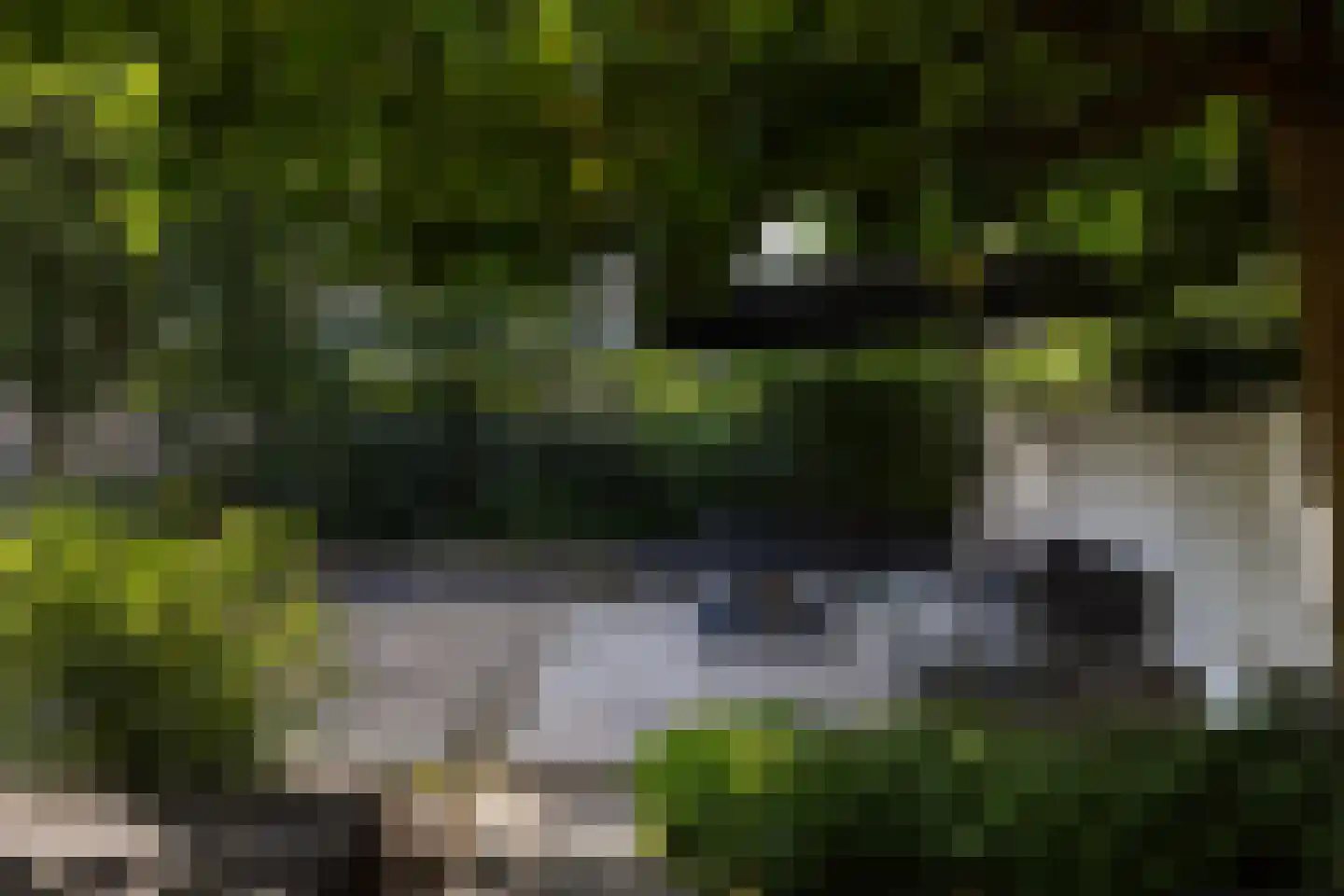 De Roos van Dekama 1 Amstelveen thumbnail 30