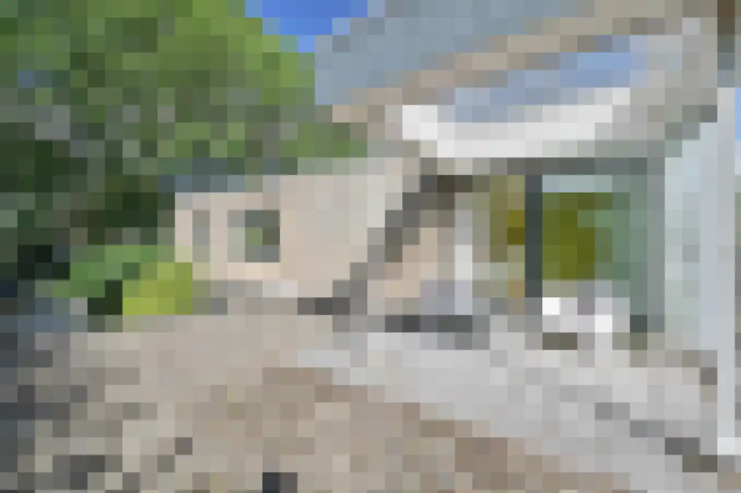 De Roos van Dekama 1 Amstelveen thumbnail 42