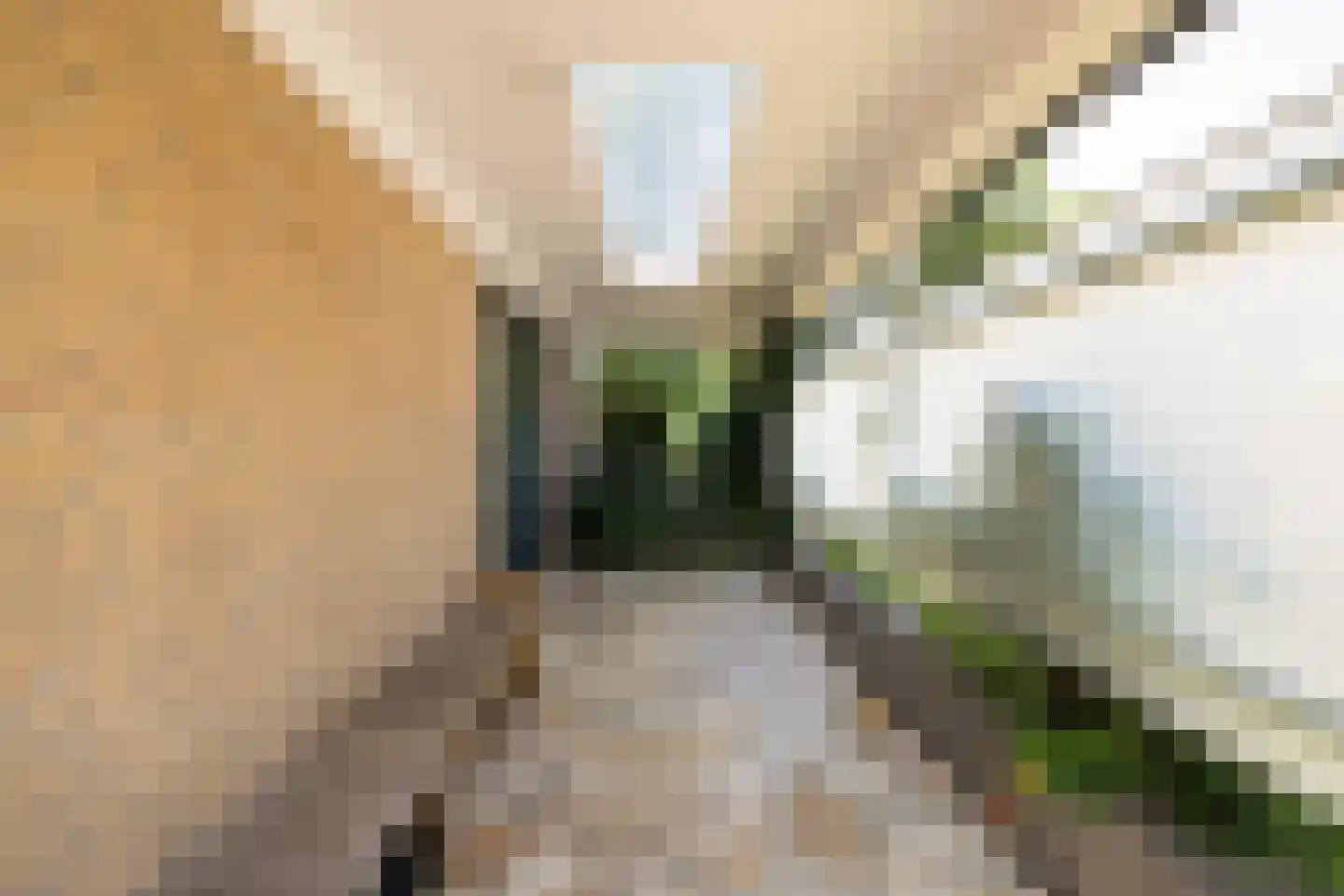 De Roos van Dekama 1 Amstelveen thumbnail 5
