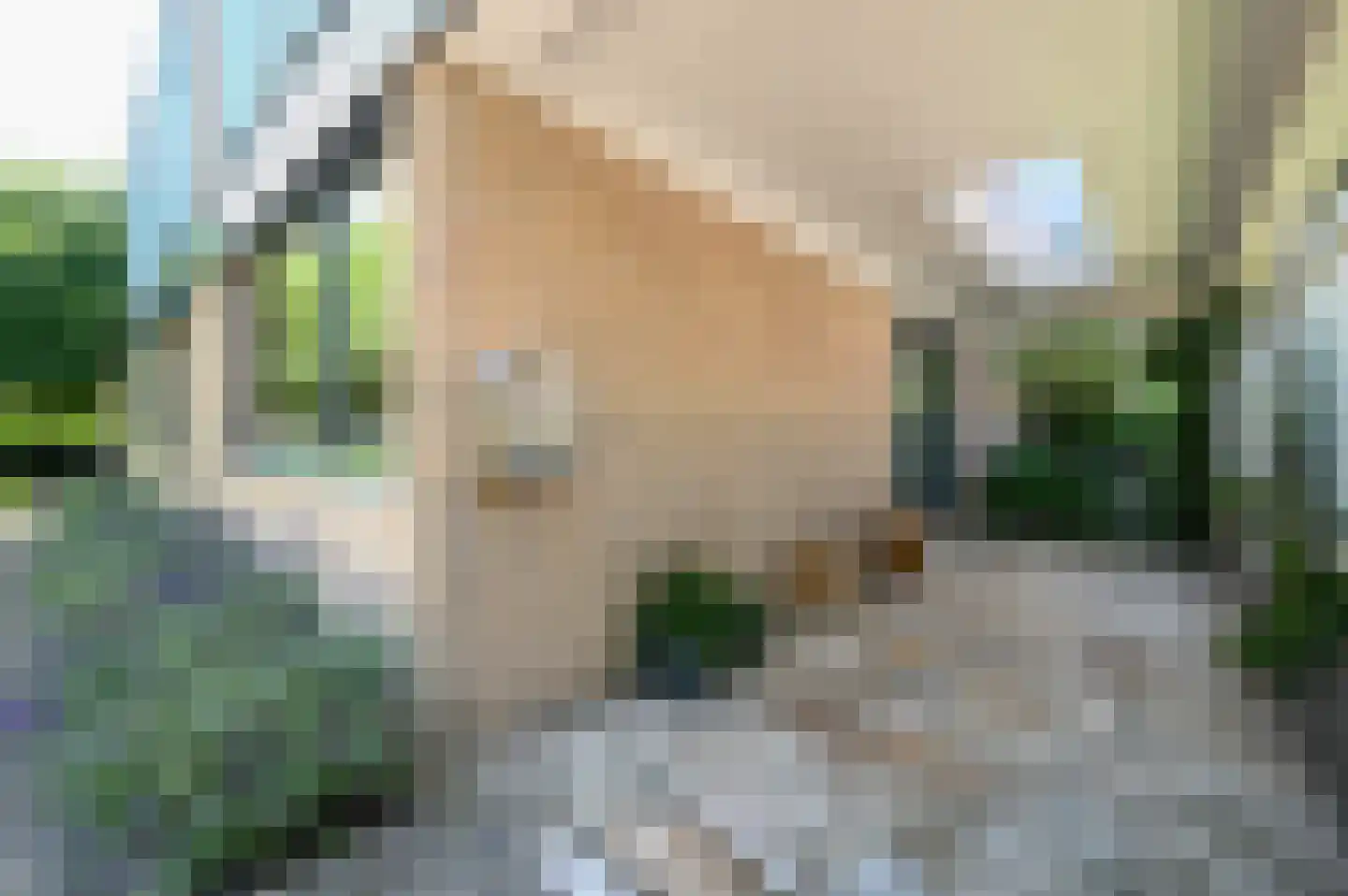 De Roos van Dekama 1 Amstelveen thumbnail 56