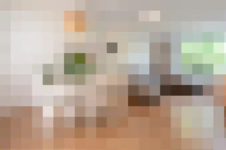 De Roos van Dekama 12 Amstelveen thumbnail 15