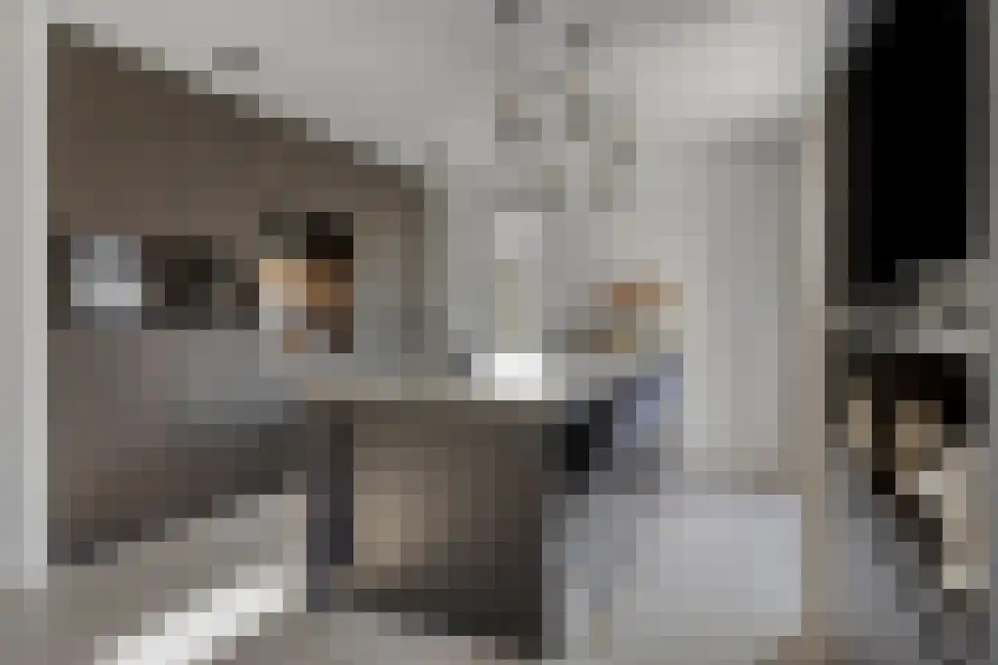 De Roozendries 14 Moergestel thumbnail 13