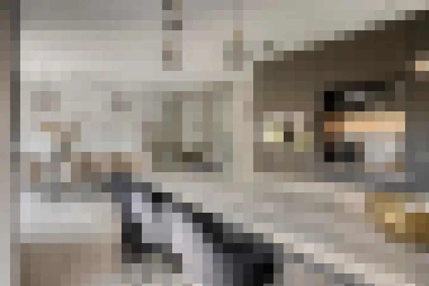 De Roozendries 14 Moergestel thumbnail 15