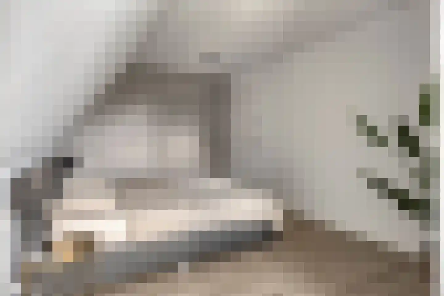 De Roozendries 14 Moergestel thumbnail 21