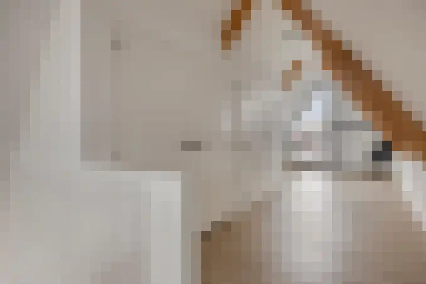 De Roozendries 14 Moergestel thumbnail 30