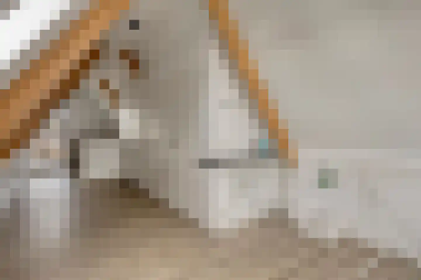 De Roozendries 14 Moergestel thumbnail 31