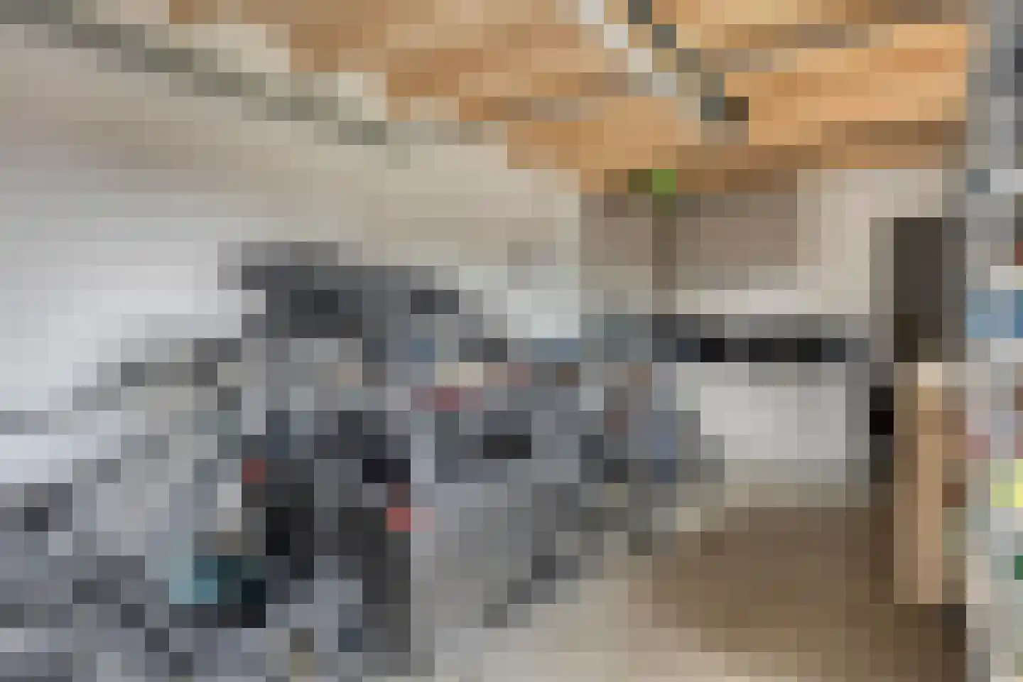 De Roozendries 14 Moergestel thumbnail 32
