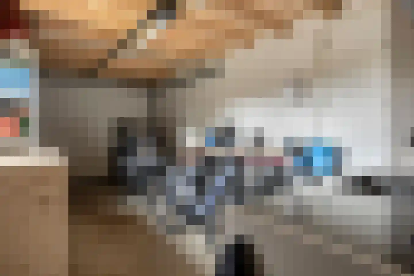 De Roozendries 14 Moergestel thumbnail 33