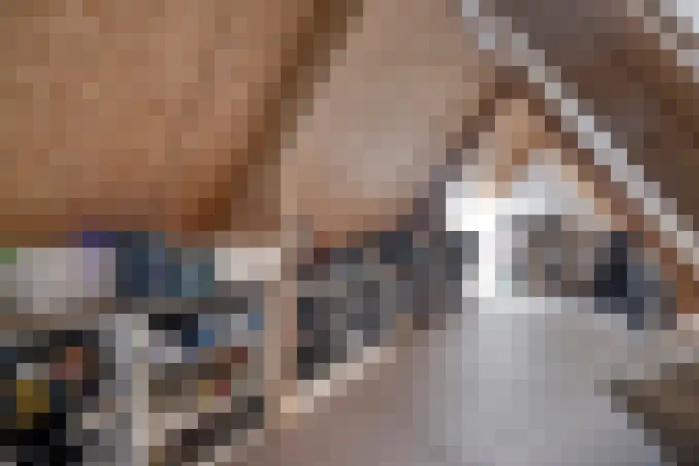 De Roozendries 14 Moergestel thumbnail 35
