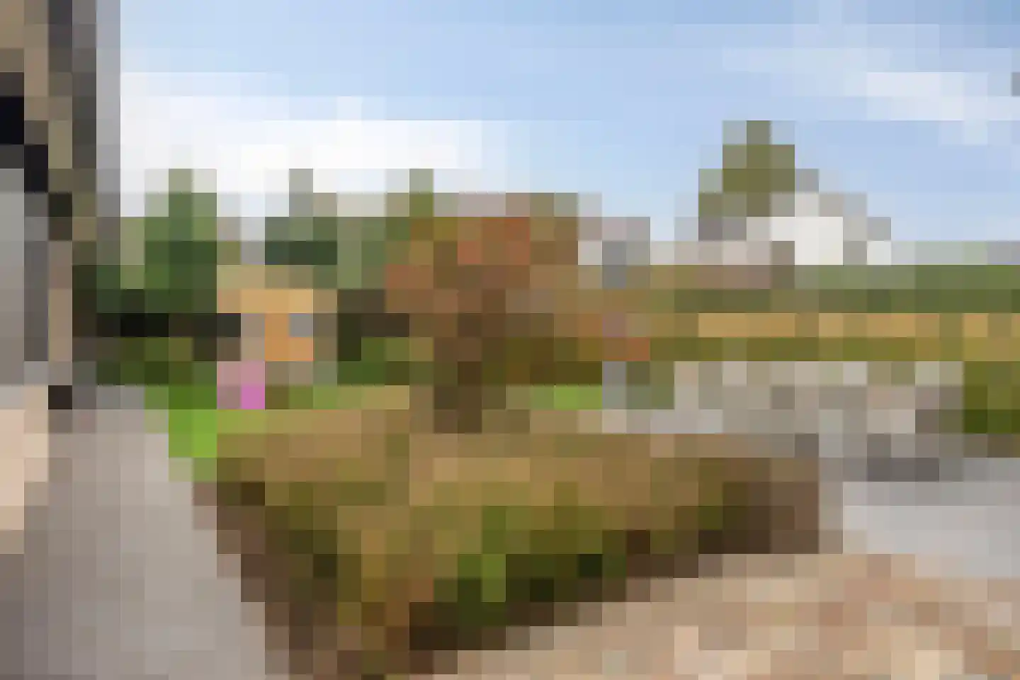 De Roozendries 14 Moergestel thumbnail 38