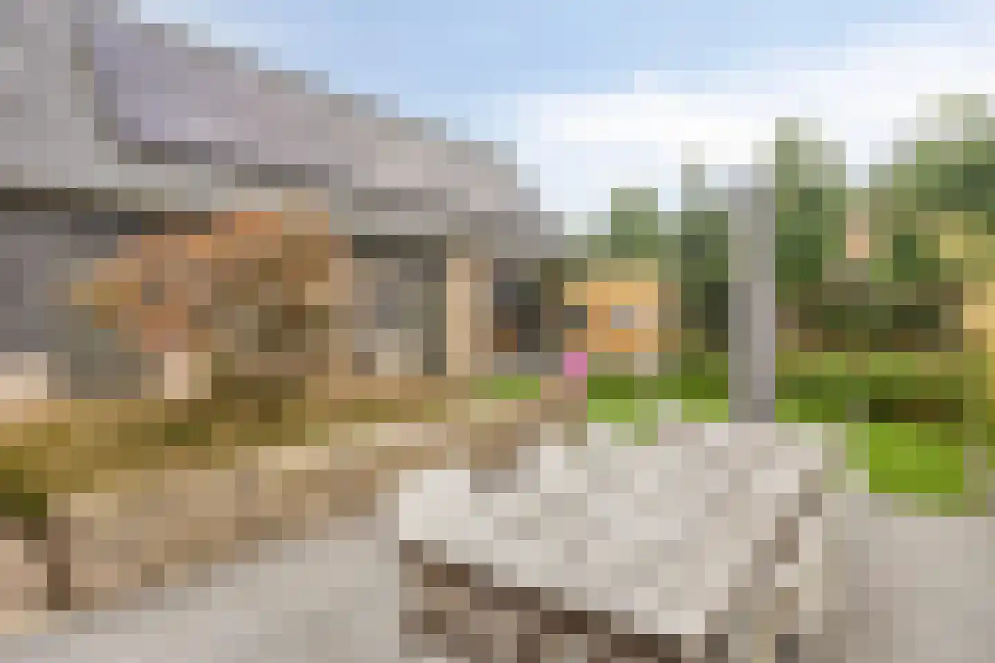 De Roozendries 14 Moergestel thumbnail 39