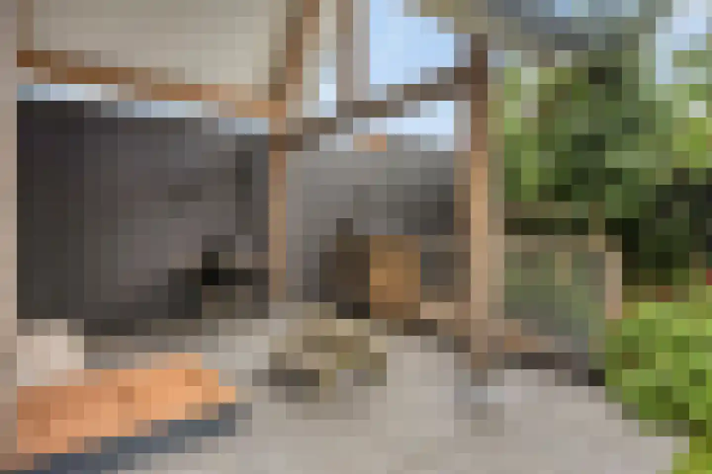 De Roozendries 14 Moergestel thumbnail 40