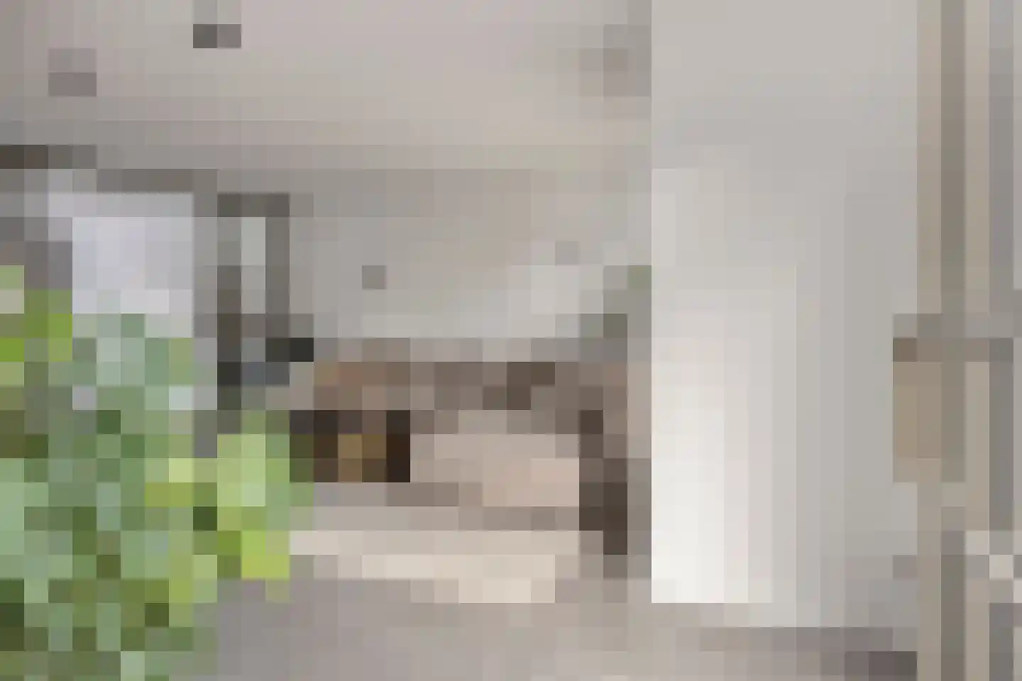 De Roozendries 14 Moergestel thumbnail 5