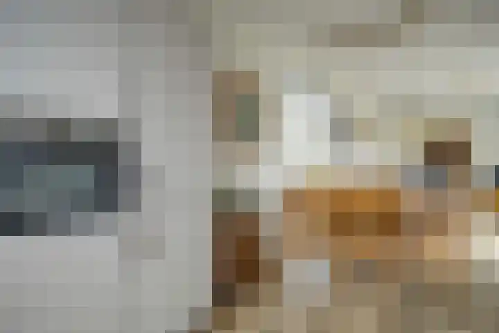 De Roozendries 8 Moergestel thumbnail 10