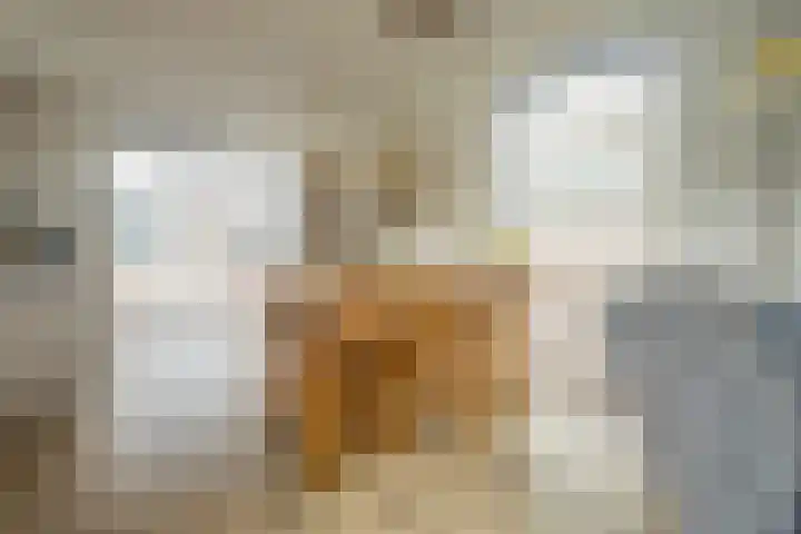 De Roozendries 8 Moergestel thumbnail 11